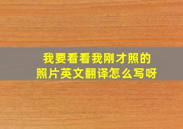 我要看看我刚才照的照片英文翻译怎么写呀