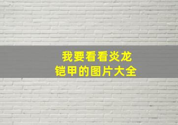 我要看看炎龙铠甲的图片大全