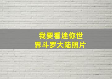 我要看迷你世界斗罗大陆照片