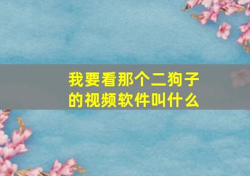 我要看那个二狗子的视频软件叫什么