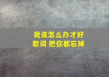 我该怎么办才好歌词 把你都忘掉