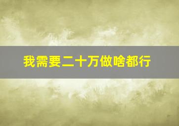 我需要二十万做啥都行