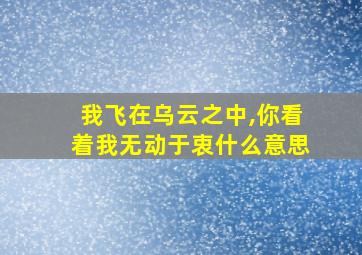 我飞在乌云之中,你看着我无动于衷什么意思