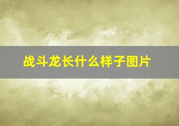 战斗龙长什么样子图片