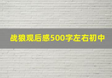 战狼观后感500字左右初中