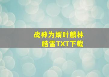 战神为婿叶麟林皓雪TXT下载