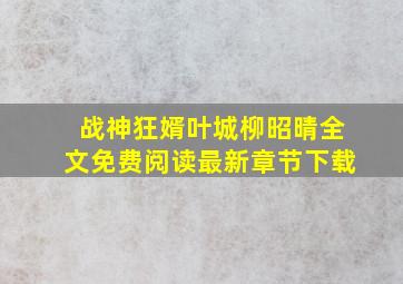 战神狂婿叶城柳昭晴全文免费阅读最新章节下载