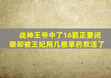 战神王爷中了16箭正要闭眼却被王妃用几根草药救活了