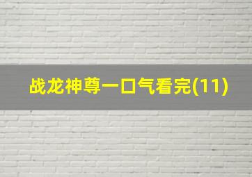 战龙神尊一口气看完(11)