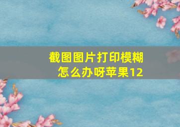 截图图片打印模糊怎么办呀苹果12