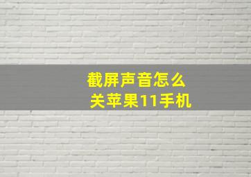 截屏声音怎么关苹果11手机