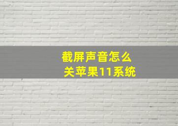 截屏声音怎么关苹果11系统