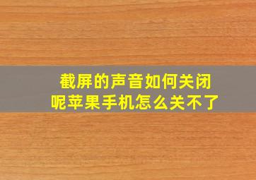 截屏的声音如何关闭呢苹果手机怎么关不了