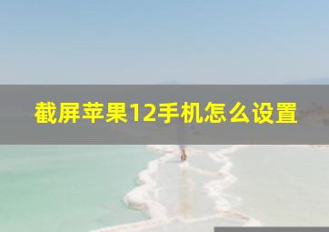 截屏苹果12手机怎么设置