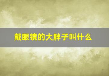 戴眼镜的大胖子叫什么