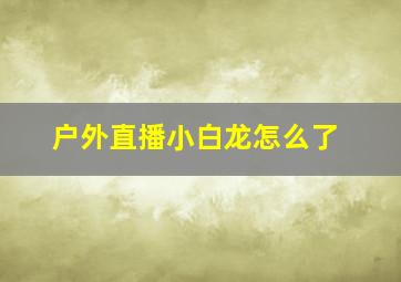 户外直播小白龙怎么了