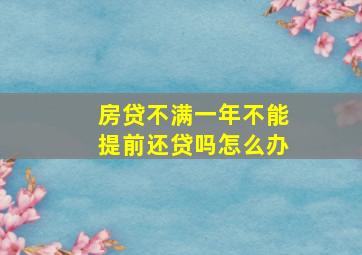 房贷不满一年不能提前还贷吗怎么办