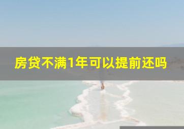 房贷不满1年可以提前还吗