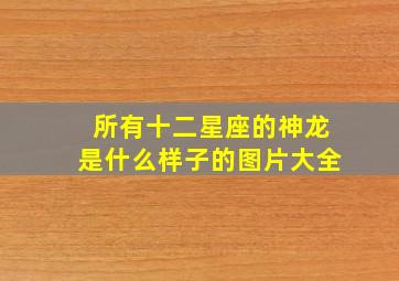 所有十二星座的神龙是什么样子的图片大全