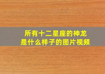 所有十二星座的神龙是什么样子的图片视频