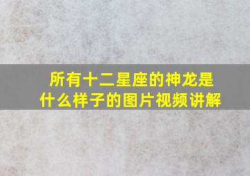 所有十二星座的神龙是什么样子的图片视频讲解