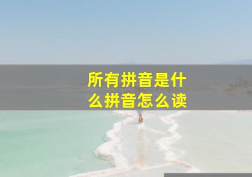 所有拼音是什么拼音怎么读