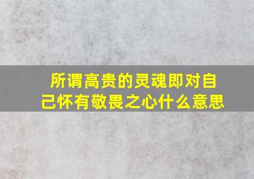 所谓高贵的灵魂即对自己怀有敬畏之心什么意思