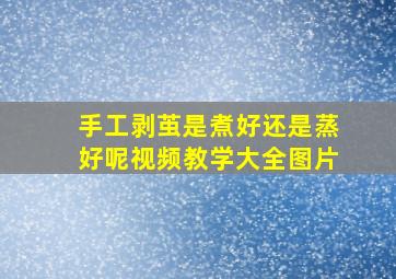 手工剥茧是煮好还是蒸好呢视频教学大全图片