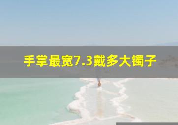 手掌最宽7.3戴多大镯子