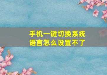 手机一键切换系统语言怎么设置不了