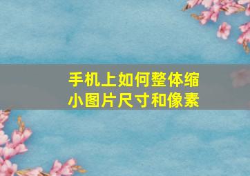 手机上如何整体缩小图片尺寸和像素