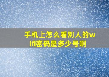 手机上怎么看别人的wifi密码是多少号啊