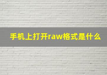 手机上打开raw格式是什么