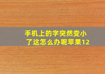 手机上的字突然变小了这怎么办呢苹果12