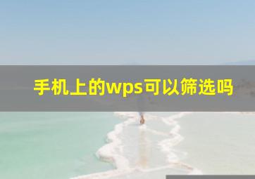 手机上的wps可以筛选吗