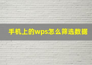 手机上的wps怎么筛选数据