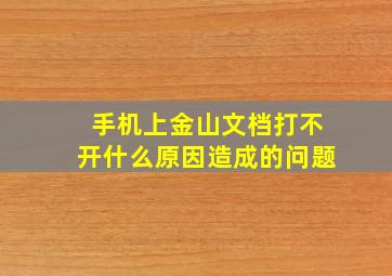 手机上金山文档打不开什么原因造成的问题