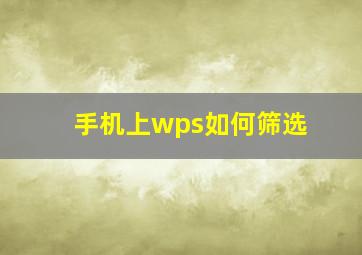 手机上wps如何筛选