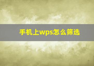 手机上wps怎么筛选