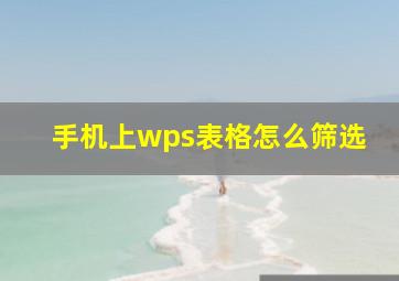 手机上wps表格怎么筛选