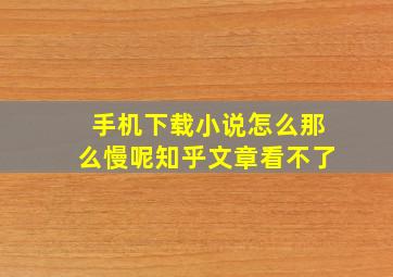 手机下载小说怎么那么慢呢知乎文章看不了