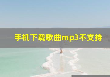 手机下载歌曲mp3不支持