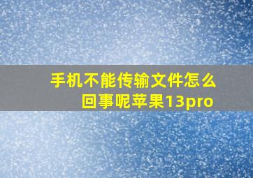 手机不能传输文件怎么回事呢苹果13pro