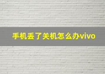 手机丢了关机怎么办vivo