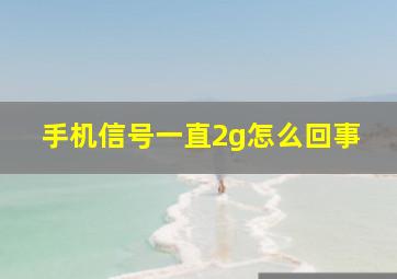 手机信号一直2g怎么回事