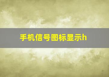 手机信号图标显示h+