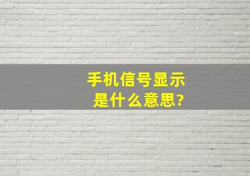 手机信号显示+是什么意思?