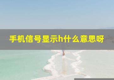 手机信号显示h什么意思呀