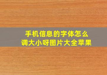 手机信息的字体怎么调大小呀图片大全苹果