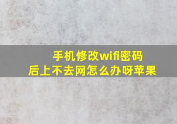 手机修改wifi密码后上不去网怎么办呀苹果